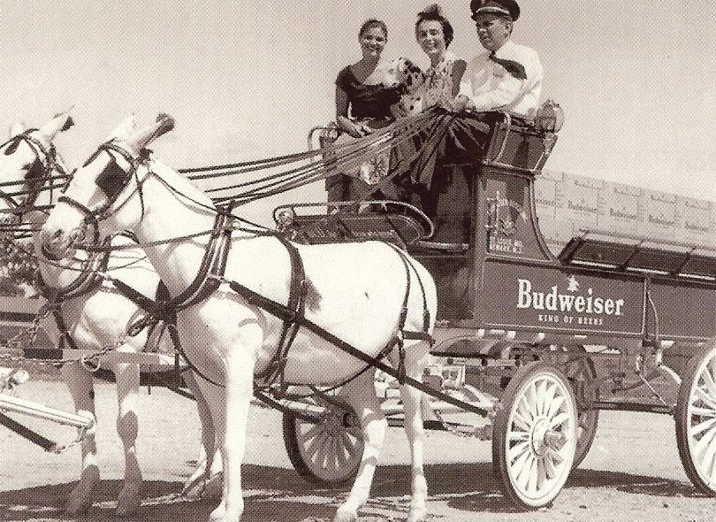 Cortelli Sisters on Budweiser horse drawn carriage